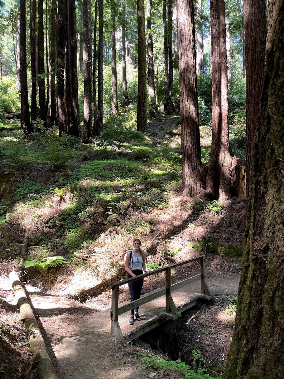 Hike